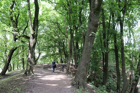 Park. Kaliningradの写真素材