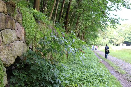 Kaliningradの写真素材