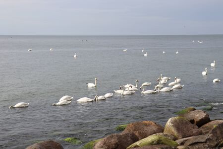 empty beachの写真素材