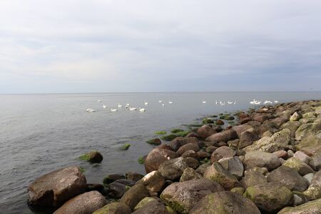 empty beachの写真素材