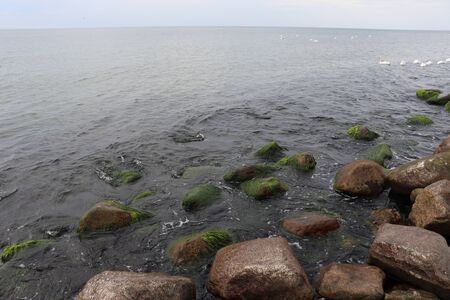 empty beachの写真素材