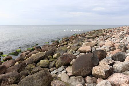 stony beachの写真素材