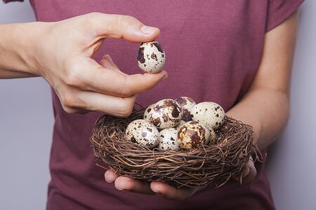 Quail eggs in woman's hands.
