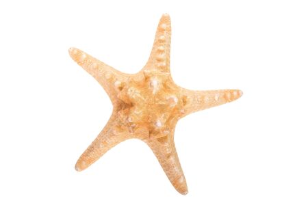 Sea star on white background. Relaxation concept.の写真素材