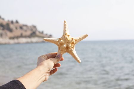 Sea star on sandy beach on sunny day. Relaxation concept.