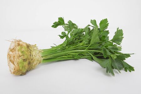Celery on white background. Healthy food concept.