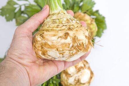 Man is holding big celery in his hand on white background. Healthy food concept.