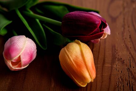 Artificial flowers. Colorful artificial tulips on a wooden background.の写真素材