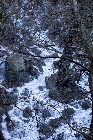 Rivers. Autumn or winter concept nature walks.