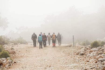 Nature walking group walking on footpath in autumn or winter concept for healthy lifestyle.の写真素材
