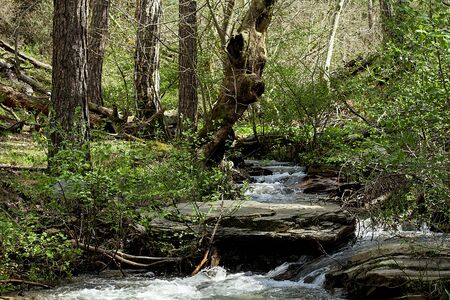 Rivers. Autumn or winter concept nature walks.の写真素材