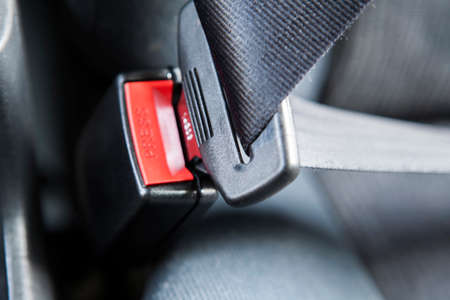Fastening seat belt in a car.の写真素材