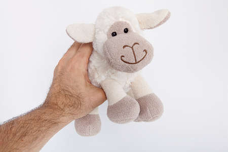 Toy lamb isolated on white background. Man is holding toy lamb in hand.の写真素材