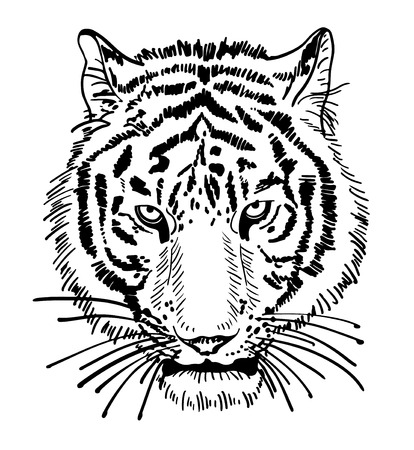 artwork of tiger face portrait, head silhouette, black and white sketch digital drawing, isolated on white background, vector illustrationのイラスト素材