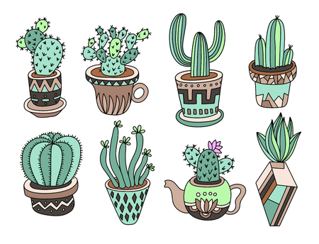 doodle cacti collection, hand drawing set of various succulents and cactus, vector illustrationのイラスト素材