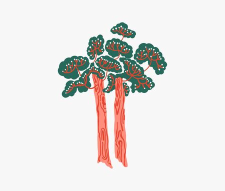 two pine trees in the ancient style of South Koreaのイラスト素材