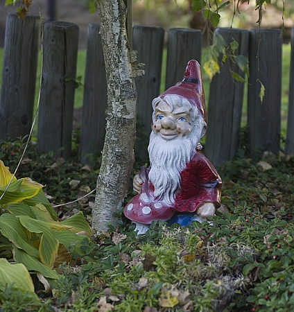 The dwarf is sitting in the birch leavesの写真素材