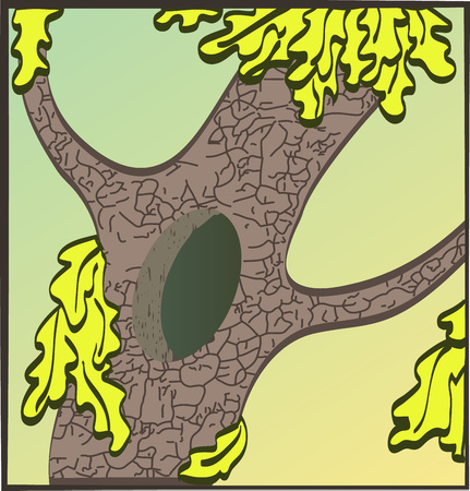 Tree illustration with leaves and a hollow. Vector illustration.のイラスト素材
