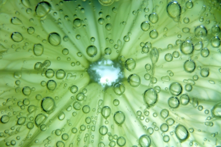 Slice of the lemon with bubbles close-upの写真素材