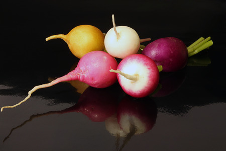 Fresh multi-coloured radish on black backgroundの写真素材