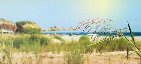 Umbrellas and chaise lounges on beach. Summer seascape. Tinted toned image. Selective focusの写真素材