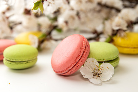 Green, yellow, pink macarons on white background against of blossoming apricot branchの写真素材