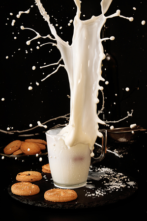 Milk splash. Falling cookies to glass of milk with splash on black background. Biscuits and glass off milk on black slate.の写真素材