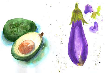 Watercolor hand drawn sketch illustration of avocado and eggplant on white backgroundの写真素材