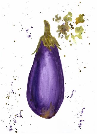 Watercolor hand drawn eggplant on white background.の写真素材