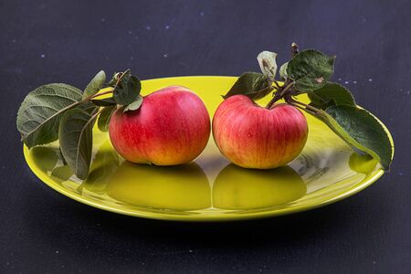 Organic natural apples on olive color plate on dark blue background.の写真素材