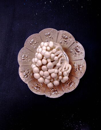 Asian edible mooshrooms shimidzhi brown on silver plate. Top view. Copy space. Healthy eating concept.の写真素材