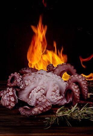 Big octopus with curved tentacles against oÐ° dark background with fire. preparation grilled octopusの写真素材