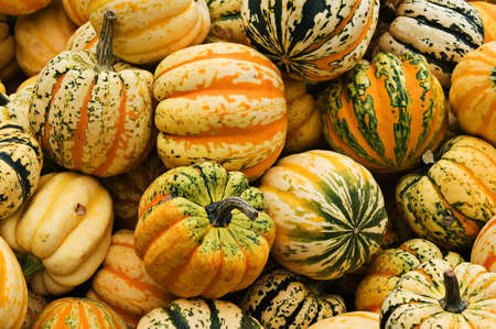 Pumpkin
