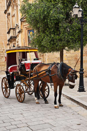 Tourist chariot in the Old City of Mdina, Malta