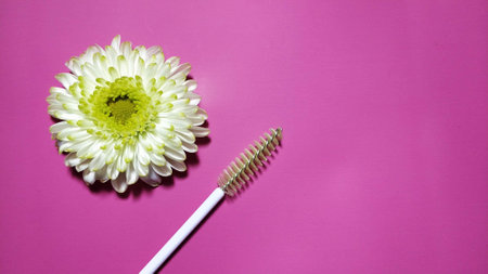 White flower with eyebrow eyelash brush on pink background. Banner, cover for beauty salons.の写真素材