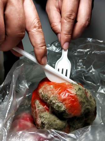 Male hands cut red rotten pepper in a plastic bag with a plastic knife and fork. Ecology, problem of overconsumption.の写真素材