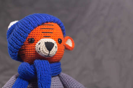 Soft knitted toy tiger portrait in a blue hat on a gray backgroundの写真素材