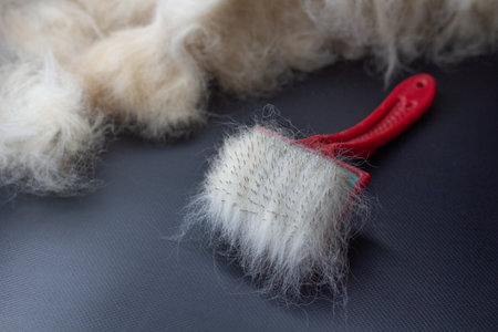 light wool on a comb on a dark backgroundの写真素材