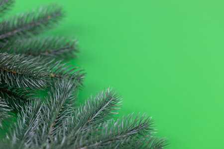 Christmas composition of fir-tree branches on a green background.の写真素材