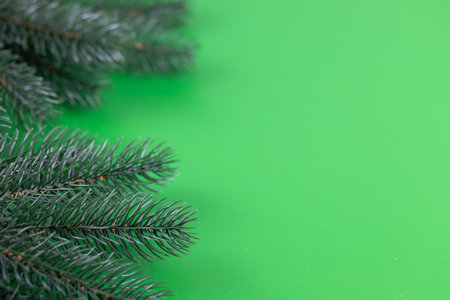 Christmas composition of fir-tree branches on a green background.の写真素材