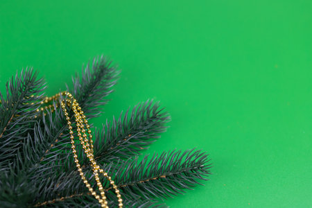 Christmas composition of fir branches and gold beads on a green background.の写真素材