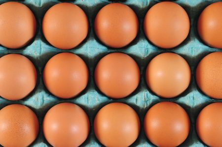 Eggs. Competition concept.