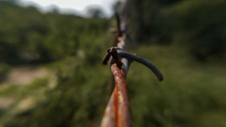 Wire fancing at the farmの写真素材
