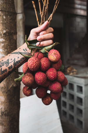 High Angle View Of Litchis