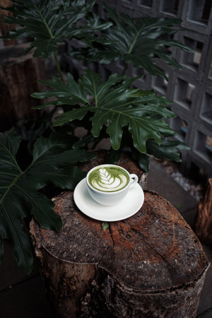 barista dripping coffee and slow coffee bar styleの写真素材