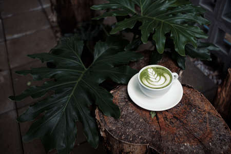 barista dripping coffee and slow coffee bar styleの写真素材