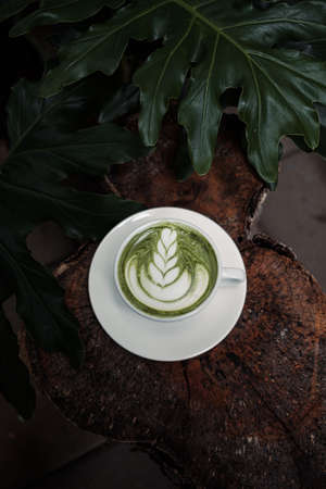 barista dripping coffee and slow coffee bar styleの写真素材