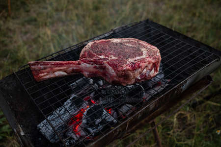 Sliced grilled thai steak served on white plate with grilled sliced lemon, tomatoes, garlicの写真素材