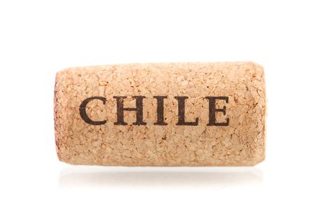 Wine collection - Chile wine cork. Isolated on white backgroundの写真素材