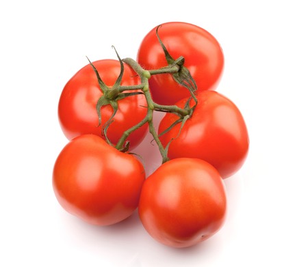 Branch of fresh tomatoes. Isolated on white backgroundの写真素材